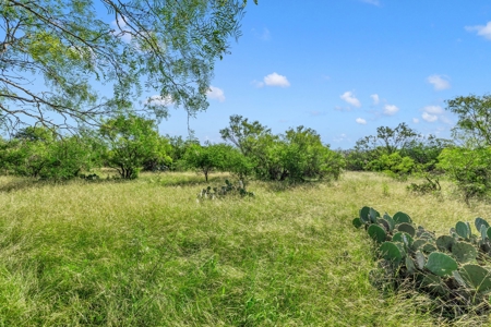 14 Acres on the hard corner just South of Castroville! - image 8