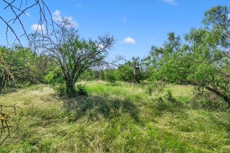 14 Acres on the hard corner just South of Castroville! - image 1