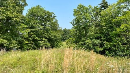 Monroe County Ohio Land for Sale - image 9