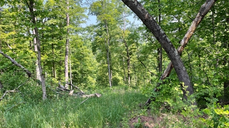 Monroe County Ohio Land for Sale - image 13