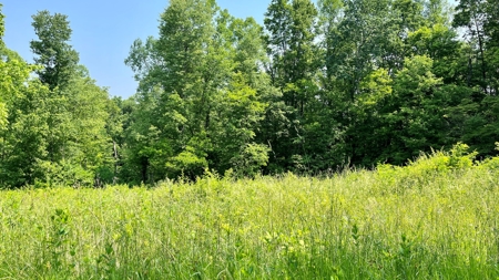 Monroe County Ohio Land for Sale - image 19