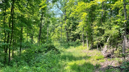 Monroe County Ohio Land for Sale - image 18