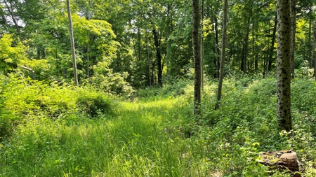 Monroe County Ohio Land for Sale - image 14