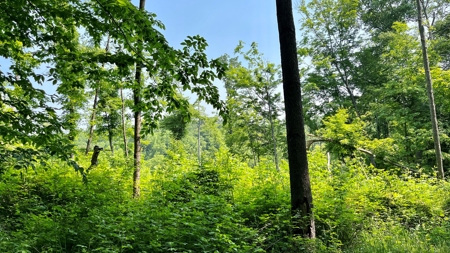 Monroe County Ohio Land for Sale - image 15