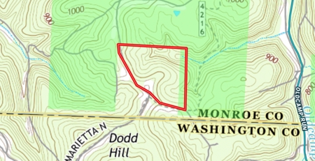Monroe County Ohio Land for Sale - image 2