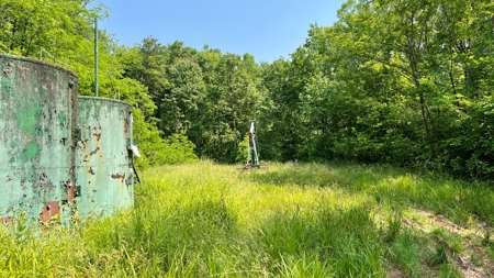 Monroe County Ohio Land for Sale - image 8