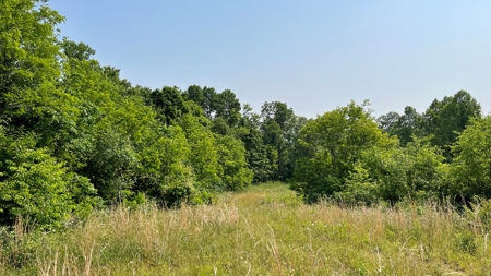 Monroe County Ohio Land for Sale - image 10