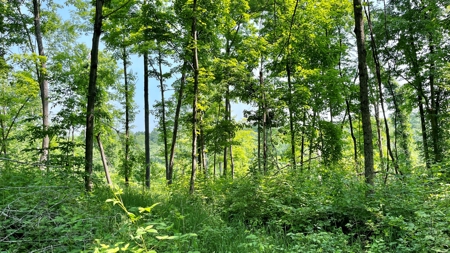 Monroe County Ohio Land for Sale - image 1