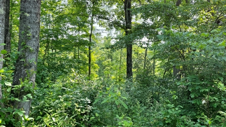 Monroe County Ohio Land for Sale - image 12
