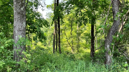 Monroe County Ohio Land for Sale - image 1