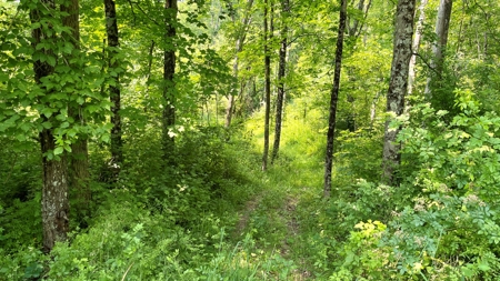 Monroe County Ohio Land for Sale - image 8