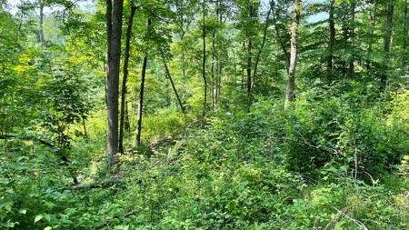Monroe County Ohio Land for Sale - image 7