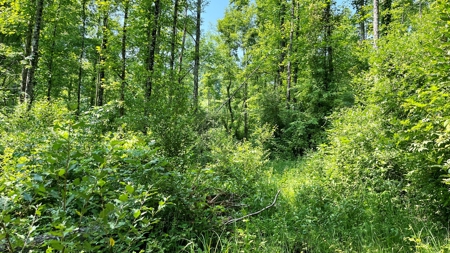 Monroe County Ohio Land for Sale - image 9