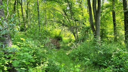 Monroe County Ohio Land for Sale - image 10