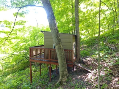 country home on over 7 acres - trophy deer hunting for  sale - image 24