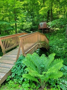 country home on over 7 acres - trophy deer hunting for  sale - image 20