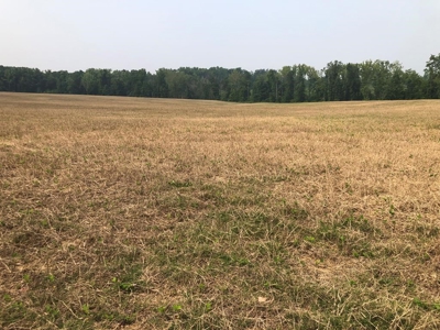 Welcome To Rose Hill Farm In Southern VA - image 4