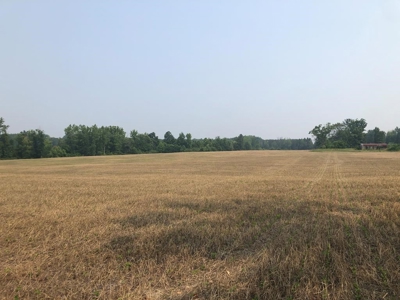 Welcome To Rose Hill Farm In Southern VA - image 6