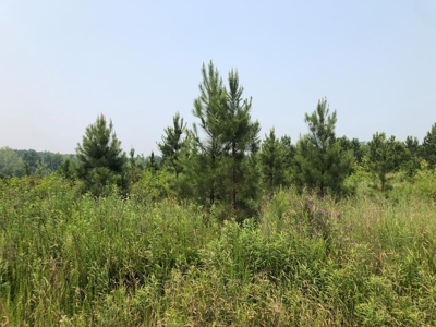 Welcome To Rose Hill Farm In Southern VA - image 22