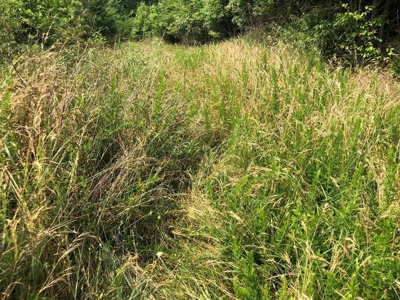 Welcome To Rose Hill Farm In Southern VA - image 18