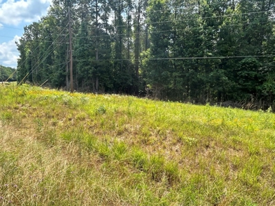 Two Wooded Acres near the Homochitto National Forest MS - image 5
