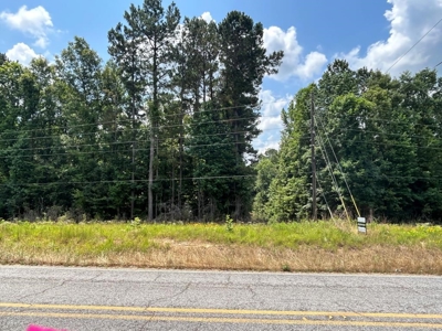 Two Wooded Acres near the Homochitto National Forest MS - image 3