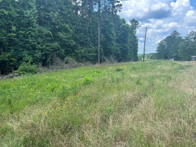 Two Wooded Acres near the Homochitto National Forest MS - image 2
