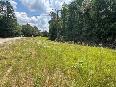 Two Wooded Acres near the Homochitto National Forest MS - image 6