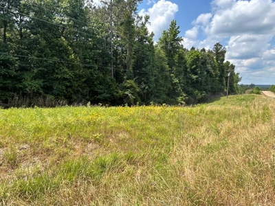 Two Wooded Acres near the Homochitto National Forest MS - image 4