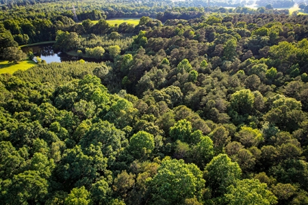 Acreage For Sale Near Lake Norman in Catawba NC - image 10