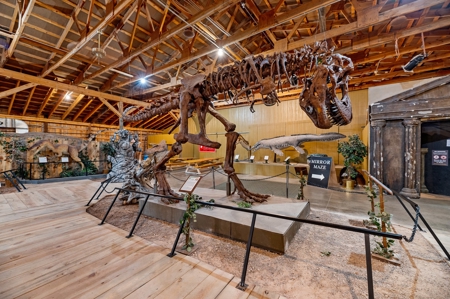 Black Hills, SD Dinosaur Museum and Toy Museum, Commercial - image 49