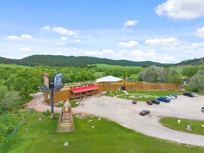 Black Hills, SD Dinosaur Museum and Toy Museum, Commercial - image 3