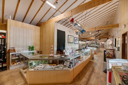 Black Hills, SD Dinosaur Museum and Toy Museum, Commercial - image 8