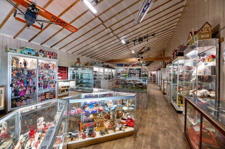 Black Hills, SD Dinosaur Museum and Toy Museum, Commercial - image 10