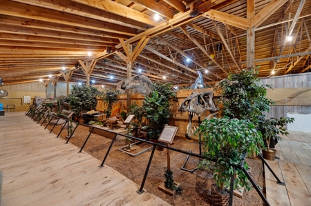 Black Hills, SD Dinosaur Museum and Toy Museum, Commercial - image 22