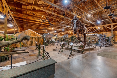 Black Hills, SD Dinosaur Museum and Toy Museum, Commercial - image 24