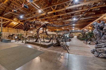 Black Hills, SD Dinosaur Museum and Toy Museum, Commercial - image 23