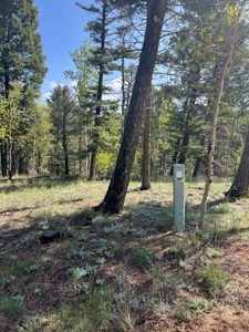 Land for Sale in Divide, Colorado! - image 23