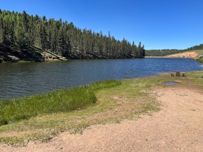 Land for Sale in Divide, Colorado! - image 25