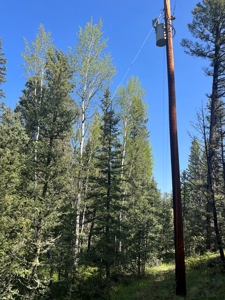 Land for Sale in Divide, Colorado! - image 10
