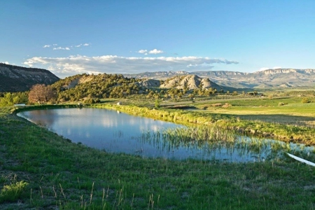 Ridgway CO premier  Mt. "View ranch" 82 ac with irrigation - image 24