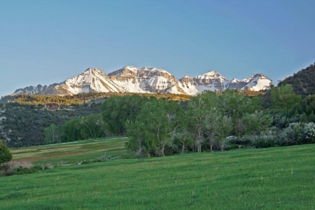 Ridgway CO premier  Mt. "View ranch" 82 ac with irrigation - image 33