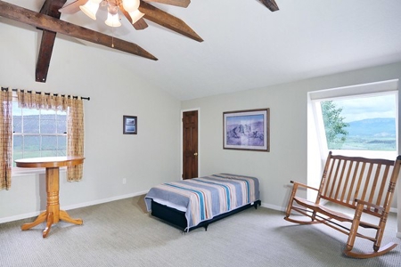 Ridgway CO premier  Mt. "View ranch" 82 ac with irrigation - image 19