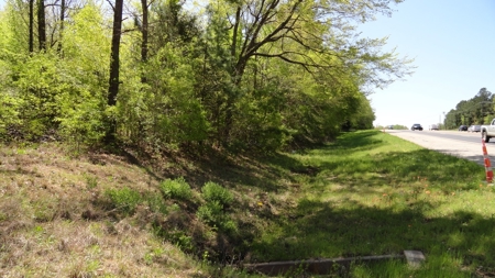 Smith County Texas Land For Sale - image 14