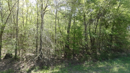 Smith County Texas Land For Sale - image 15
