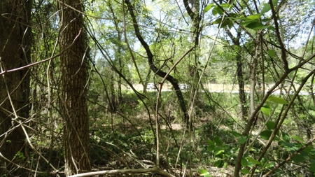 Smith County Texas Land For Sale - image 7