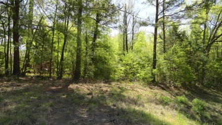 Smith County Texas Land For Sale - image 13