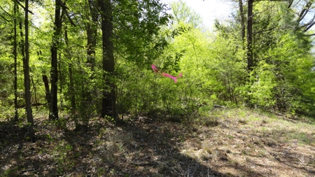 Smith County Texas Land For Sale - image 18