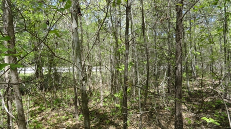 Smith County Texas Land For Sale - image 11