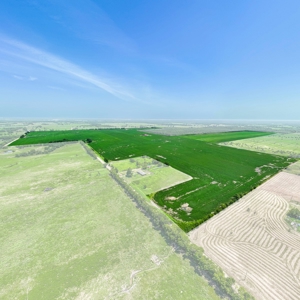 Row Crop Farm For Sale Lamar County TX - image 7